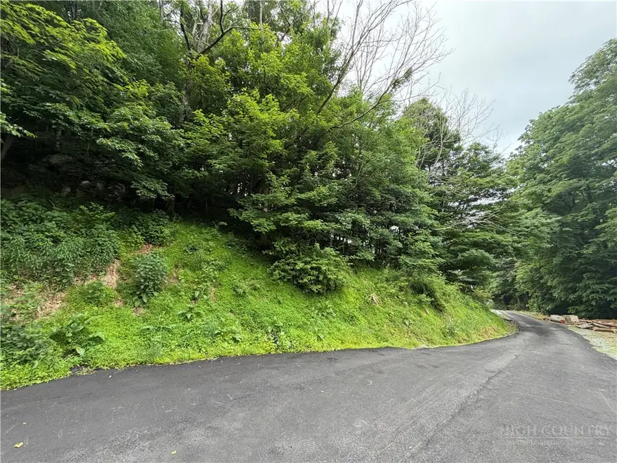 TBD Johns Mountain Road, Vilas, NC 28692 - #2