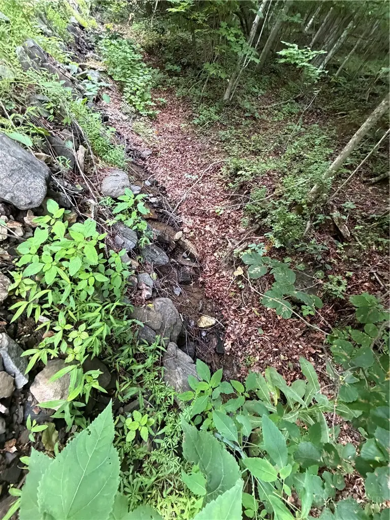 TBD Johns Mountain Road, Vilas, NC 28692 - #3