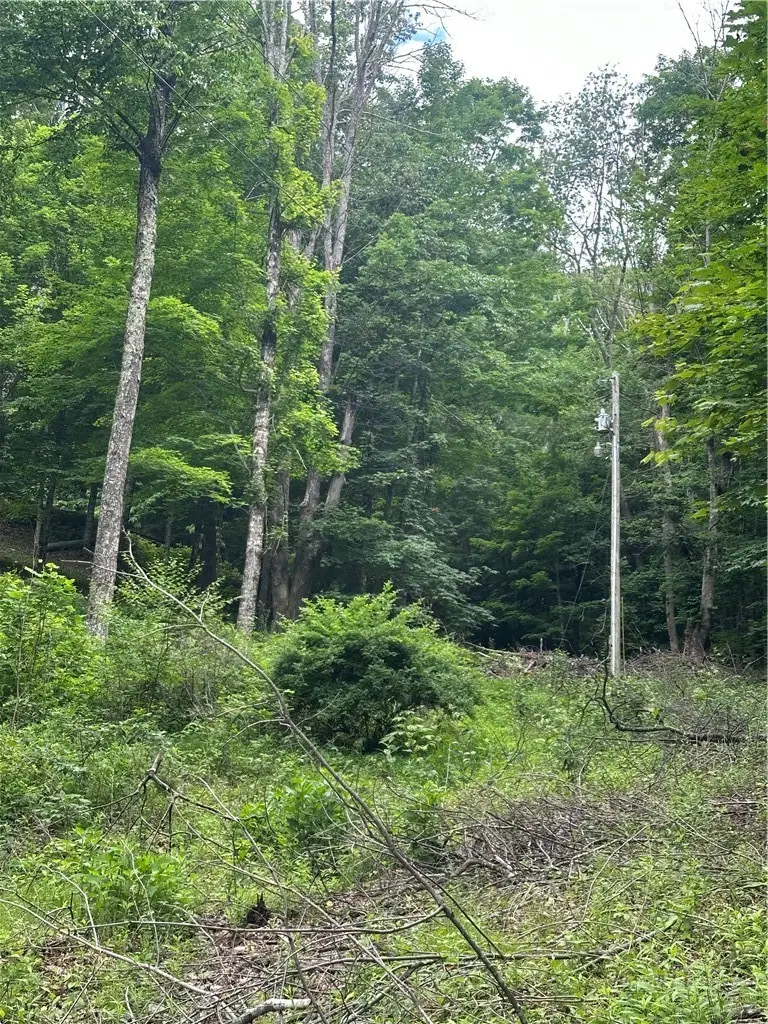 TBD Chestnut Grove Road, Boone, NC 28607 - #1