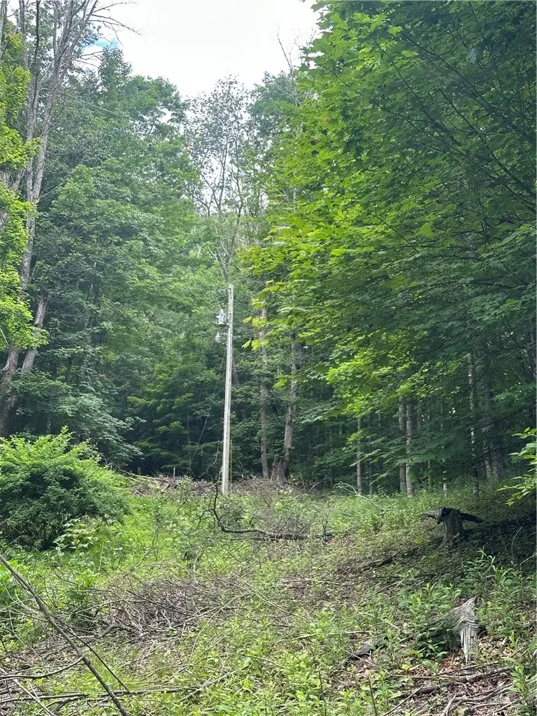 TBD Chestnut Grove Road, Boone, NC 28607 - #2