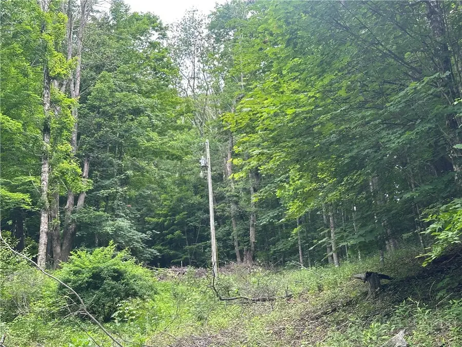 TBD Chestnut Grove Road, Boone, NC 28607 - #3