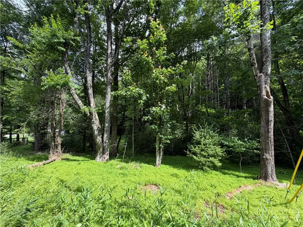TBD Kirkwood Heath Road, Boone, NC 28607 - #1