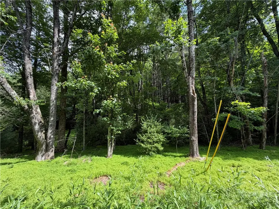 TBD Kirkwood Heath Road, Boone, NC 28607 - #2