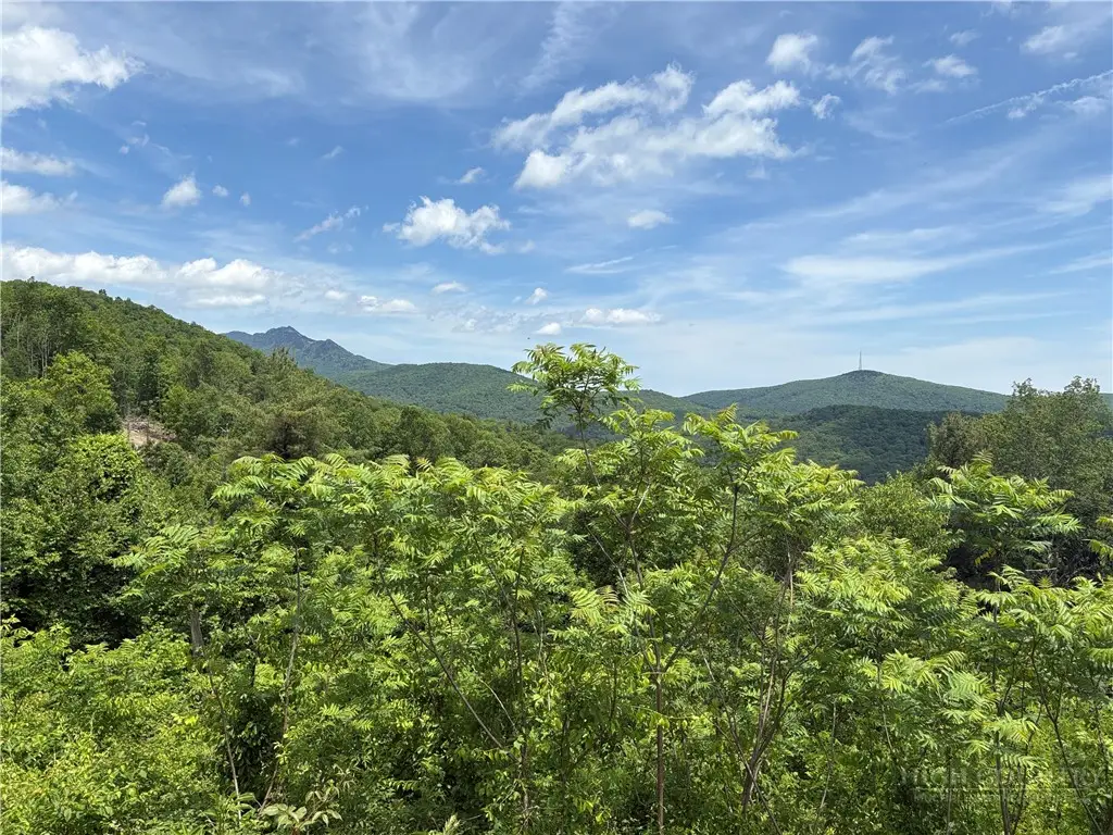 Lot 69 Linhigh Drive, Linville, NC 28646 - #1
