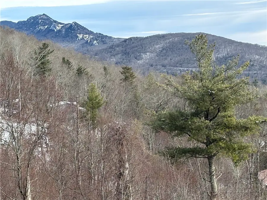 Lot 69 Linhigh Drive, Linville, NC 28646 - #3
