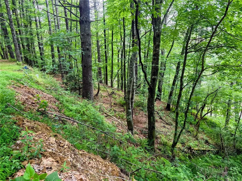 TBD New River Farms Road, Fleetwood, NC 28626 - #1