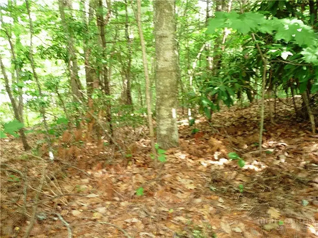 360 Kenmure Drive, Flat Rock, NC 28731 - #1