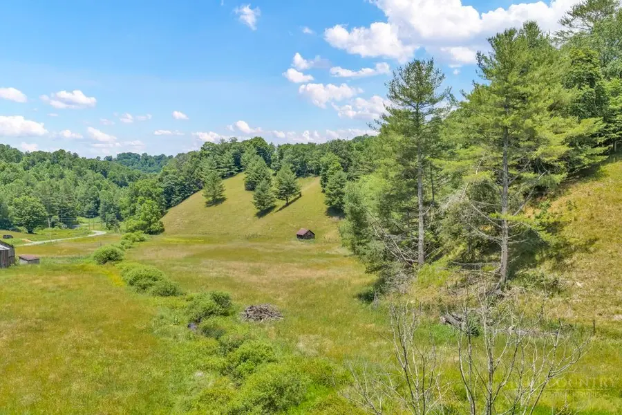 150 Fred Price Road, Mountain City, TN 37683 - #2