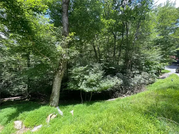 252 Greenbriar Road, Beech Mountain, NC 28604