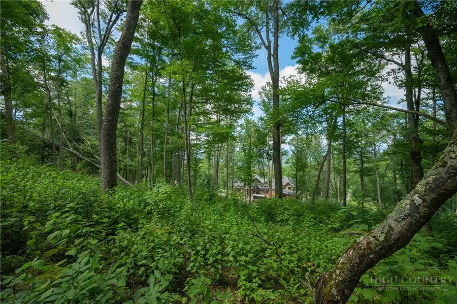 ES16 Eagle Feather Trail, Banner Elk, NC 28604 - #2