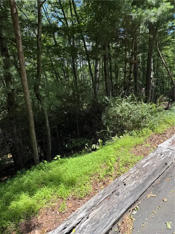 TBD Deerwood Road #58, Piney Creek, NC 28675