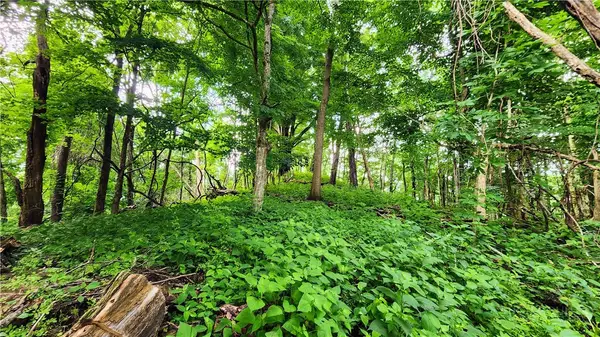 TBD Beech Mountain Road, Elk Park, NC 28622