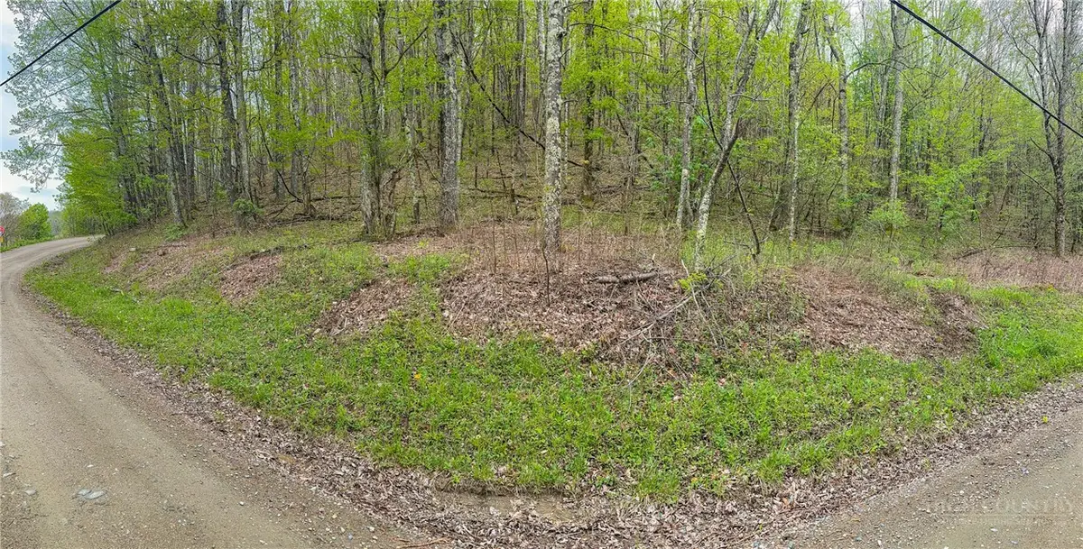 TBD Silverleaf Road, Zionville, NC 28698 - #1