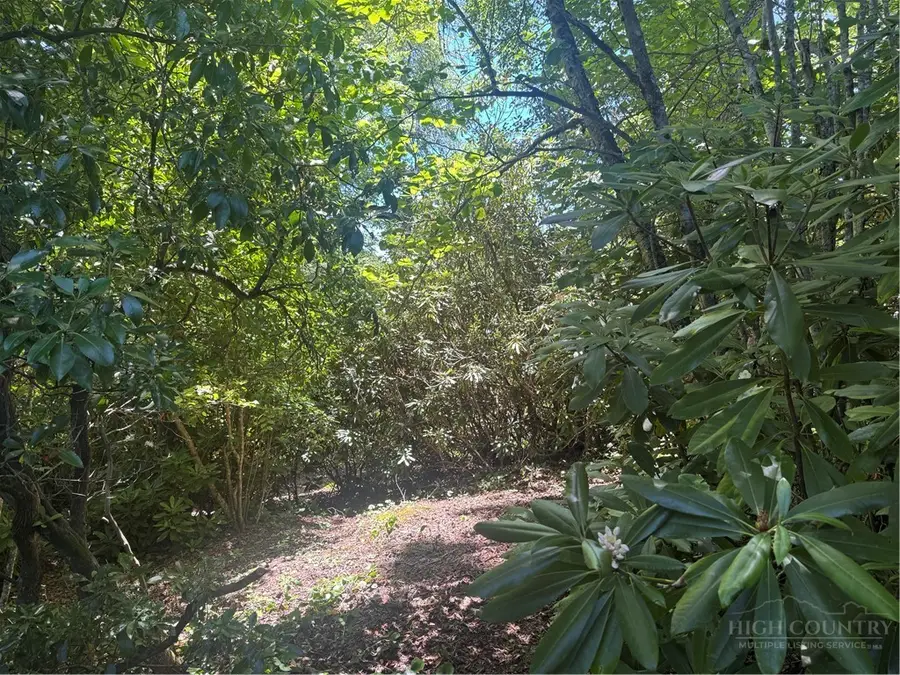 44 Bluminway Circle, Linville, NC 28646 - #2