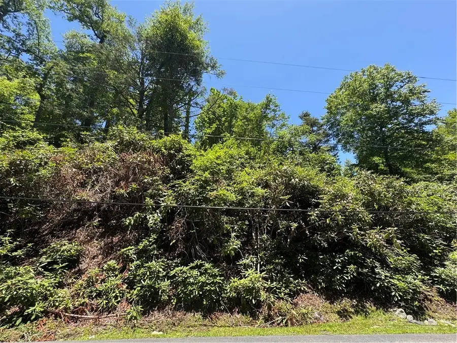 44 Bluminway Circle, Linville, NC 28646 - #3