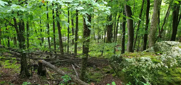 lot 81 Throncliff Drive, Seven Devils, NC 28607