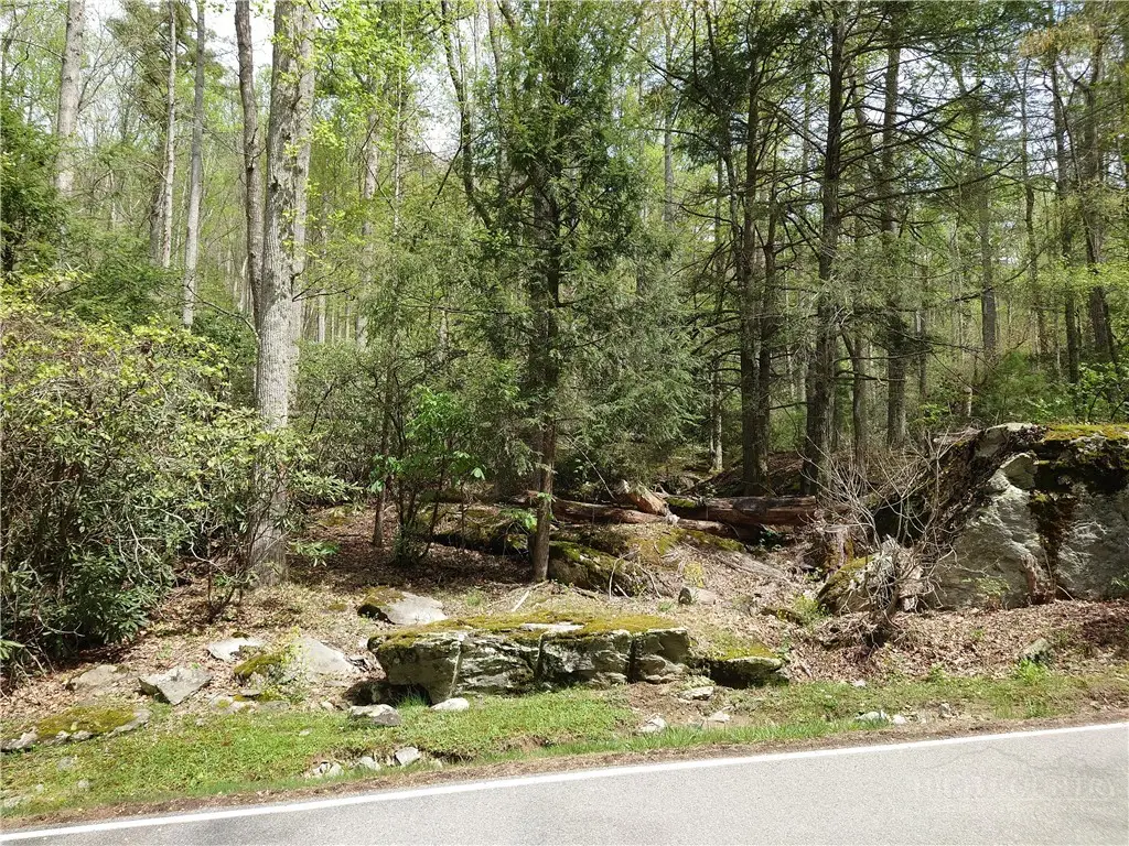 TBD Evergreen, Boone, NC 28607 - #1