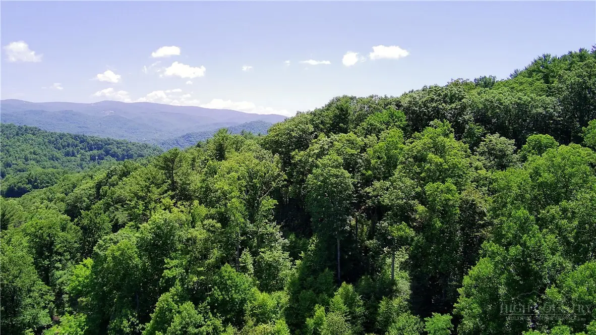 tbd Council Ward Road, Sugar Grove, NC 28679 - #1