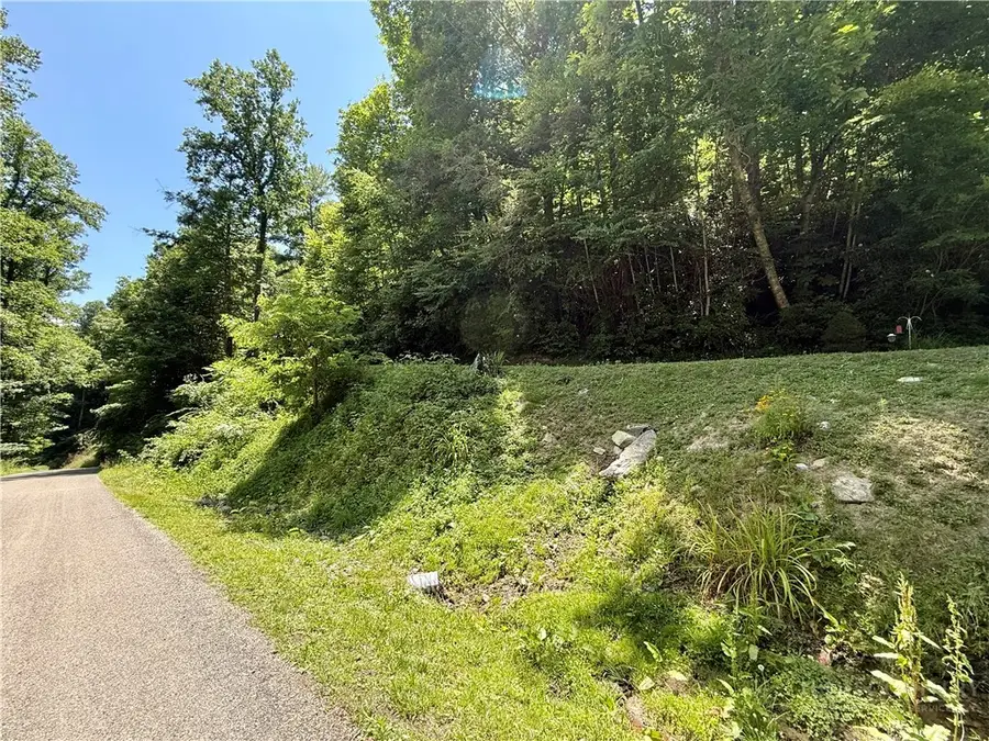 tbd Council Ward Road, Sugar Grove, NC 28679 - #2