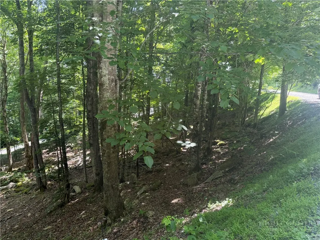 200 Wild Daisy Road, Beech Mountain, NC 28604 - #1