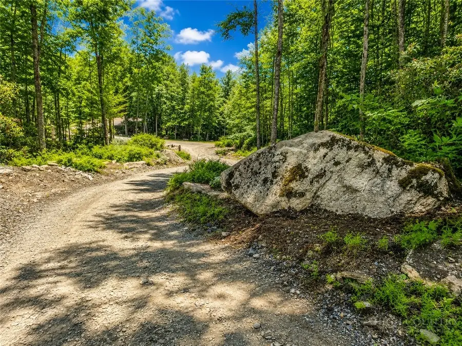 Lot #96 Eagles Nest Trail, Beech Mountain, NC 28622 - #2