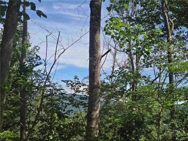 TBD Green Cove Road, Sugar Mountain, NC 28604
