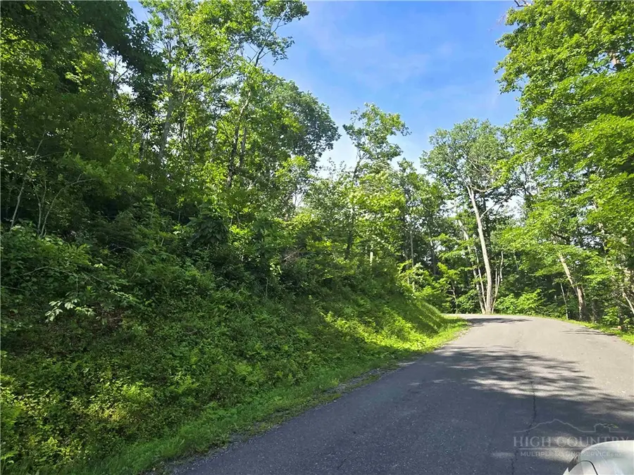 TBD Green Cove Road, Sugar Mountain, NC 28604 - #2