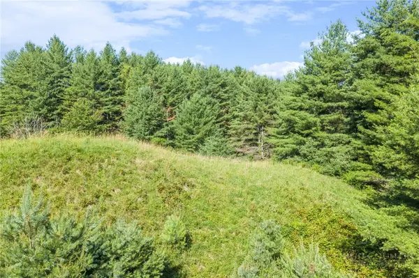 LOT 31 Alleghany Beauty, Piney Creek, NC 28663