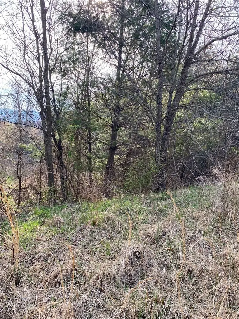 TBD Autumn Glen Drive, Sparta, NC 28675 - #3