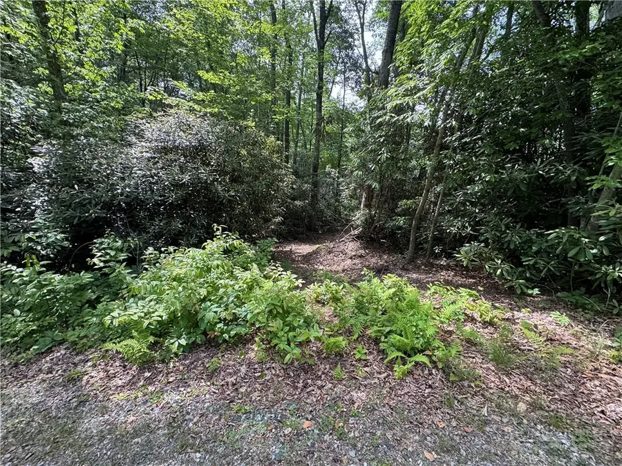 Lot 13 Woodlake Loop, Elk Park, NC 28622 - #2