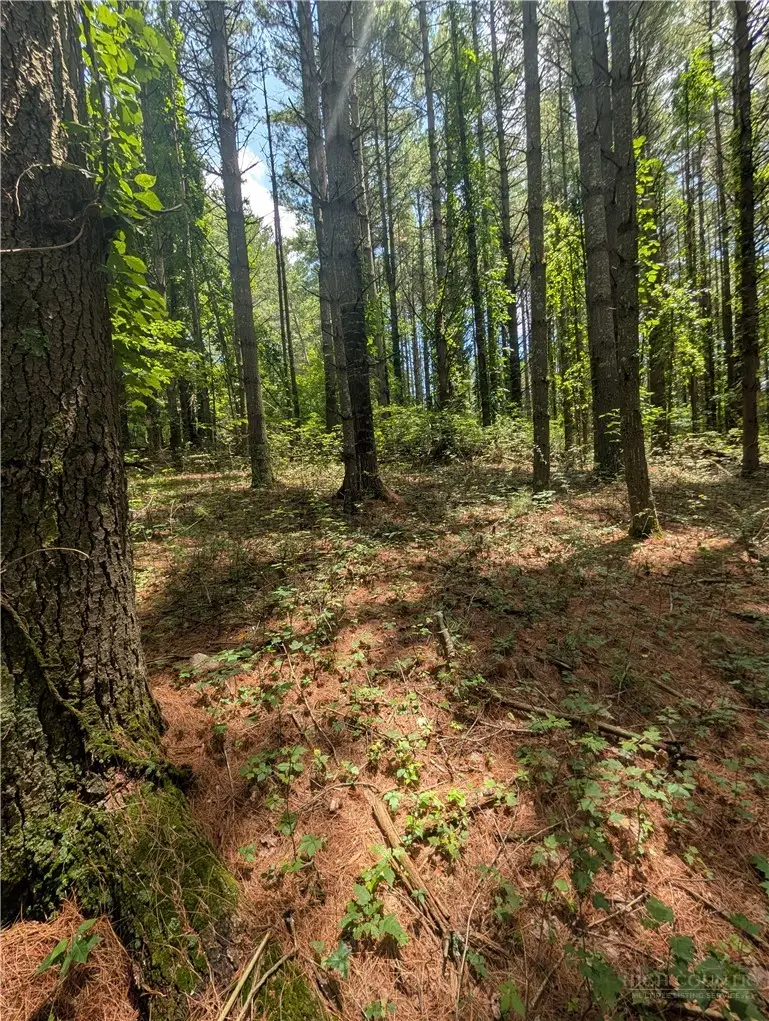 tbd Doell Lane #20, Sparta, NC 28675 - #1