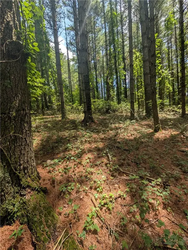 tbd Doell Lane #20, Sparta, NC 28675