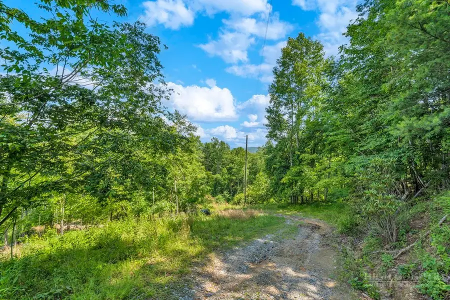 TBD Drake Drive, Vilas, NC 28692 - #3