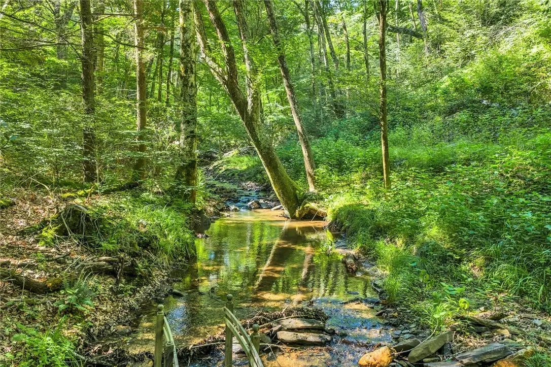 TBD Junaluska, Boone, NC 28607 - #1
