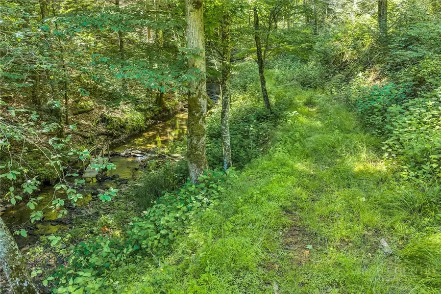 TBD Junaluska, Boone, NC 28607 - #3