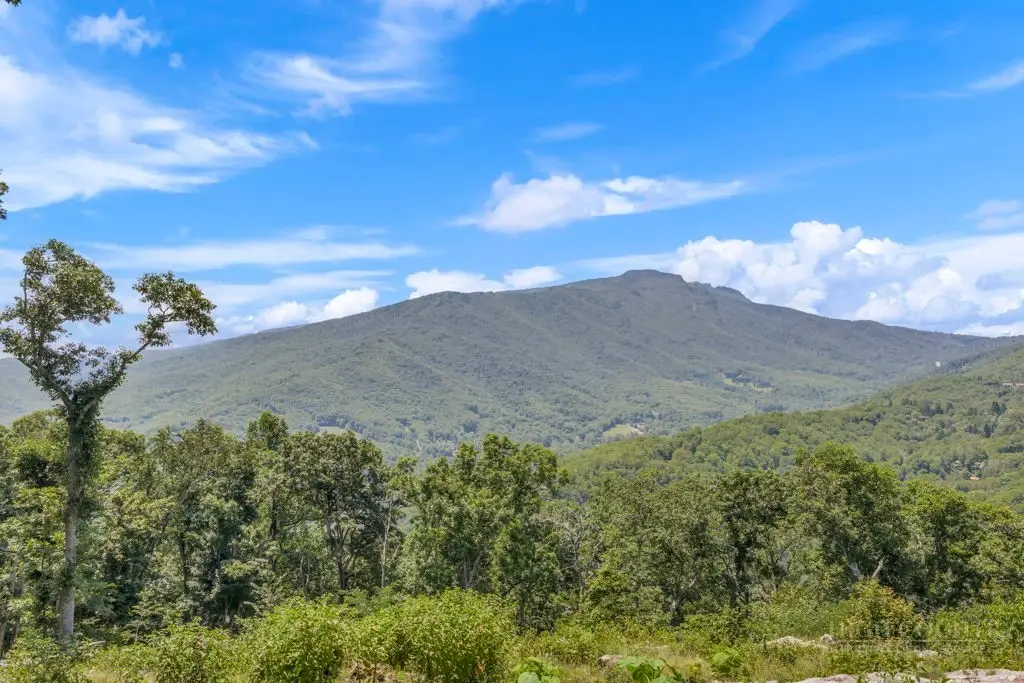 Lot #15 Alpine Drive, Seven Devils, NC 28604 - #1