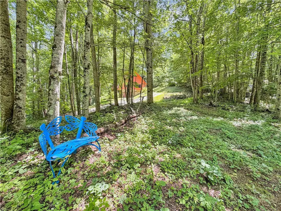 321 Grays Shadow Lane, Banner Elk, NC 28604 - #2