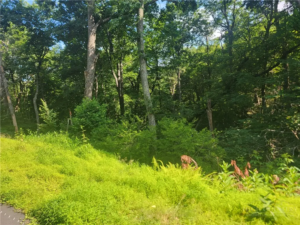 TBD Tree Top Drive, Boone, NC 28607 - #1