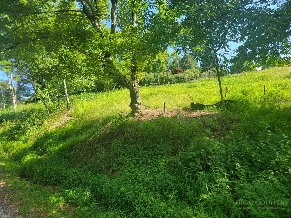 lot 66 Center Court Drive, Boone, NC 28607 - #1