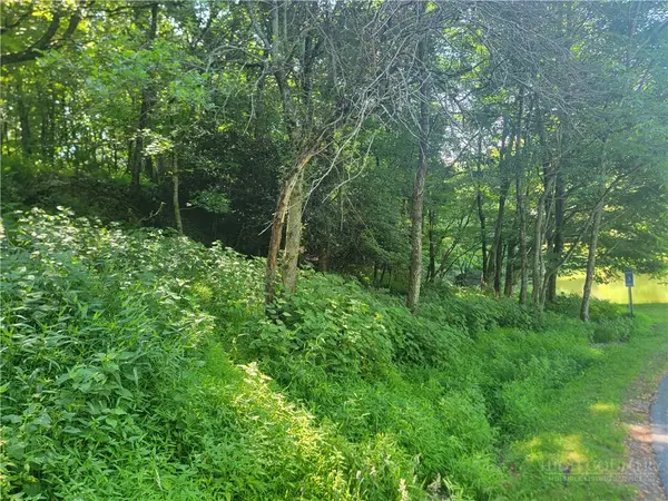 lot 68 Center Court Drive, Boone, NC 28607