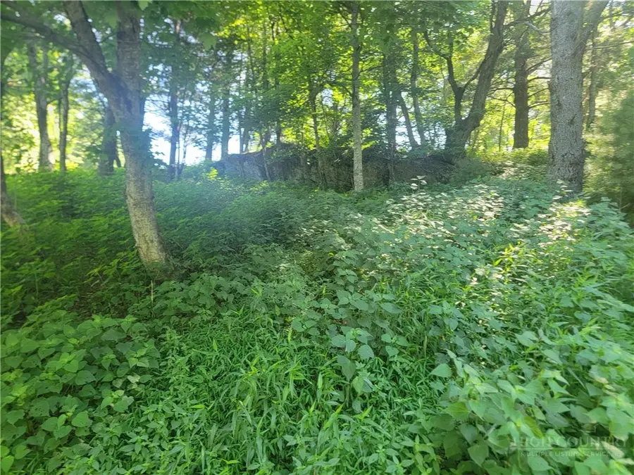 lot 68 Center Court Drive, Boone, NC 28607 - #2