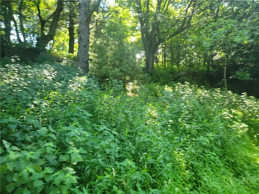 lot 68 Center Court Drive, Boone, NC 28607 - #3