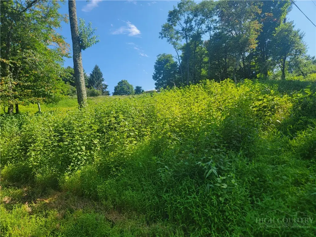 Lot 67 Center Court Drive, Boone, NC 28607 - #1