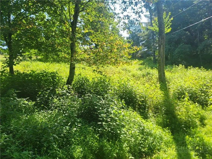 Lot 67 Center Court Drive, Boone, NC 28607 - #2