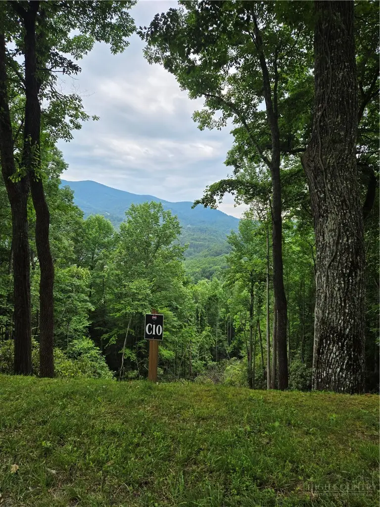 Lot C10 Bear Paw Road, Elk Park, NC 28622 - #1