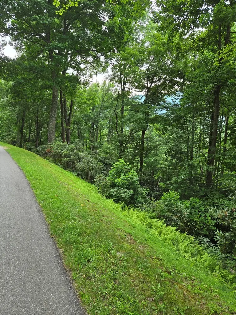 Lot C10 Bear Paw Road, Elk Park, NC 28622 - #3
