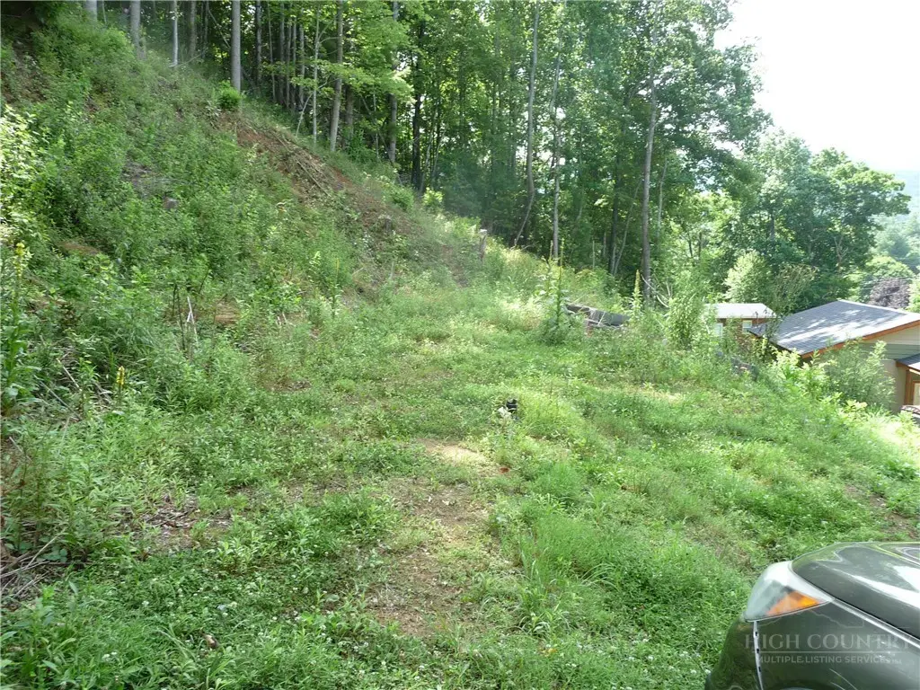 870 Bairds Creek Road, Vilas, NC 28692 - #1
