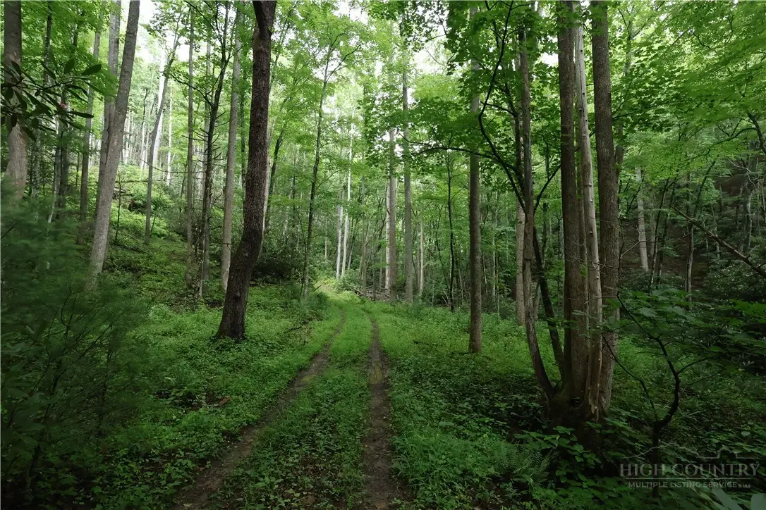 TBD Blowing Rock Road, Lenoir, NC 28645 - #1