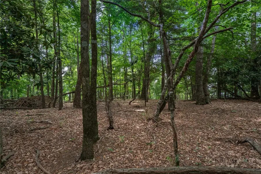 Lot 4 Old Orchard Road, Blowing Rock, NC 28605 - #2