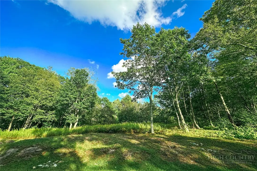 Lot 75 Eagles Nest Trail, Banner Elk, NC 28604 - #1
